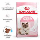 Royal Canin Mother & Babycat Dry Cat Food - All Breed