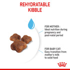 Royal Canin Mother & Babycat Dry Cat Food - All Breed