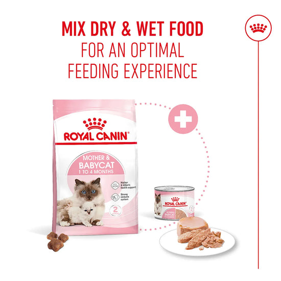 Royal Canin Mother & Babycat Dry Cat Food - All Breed