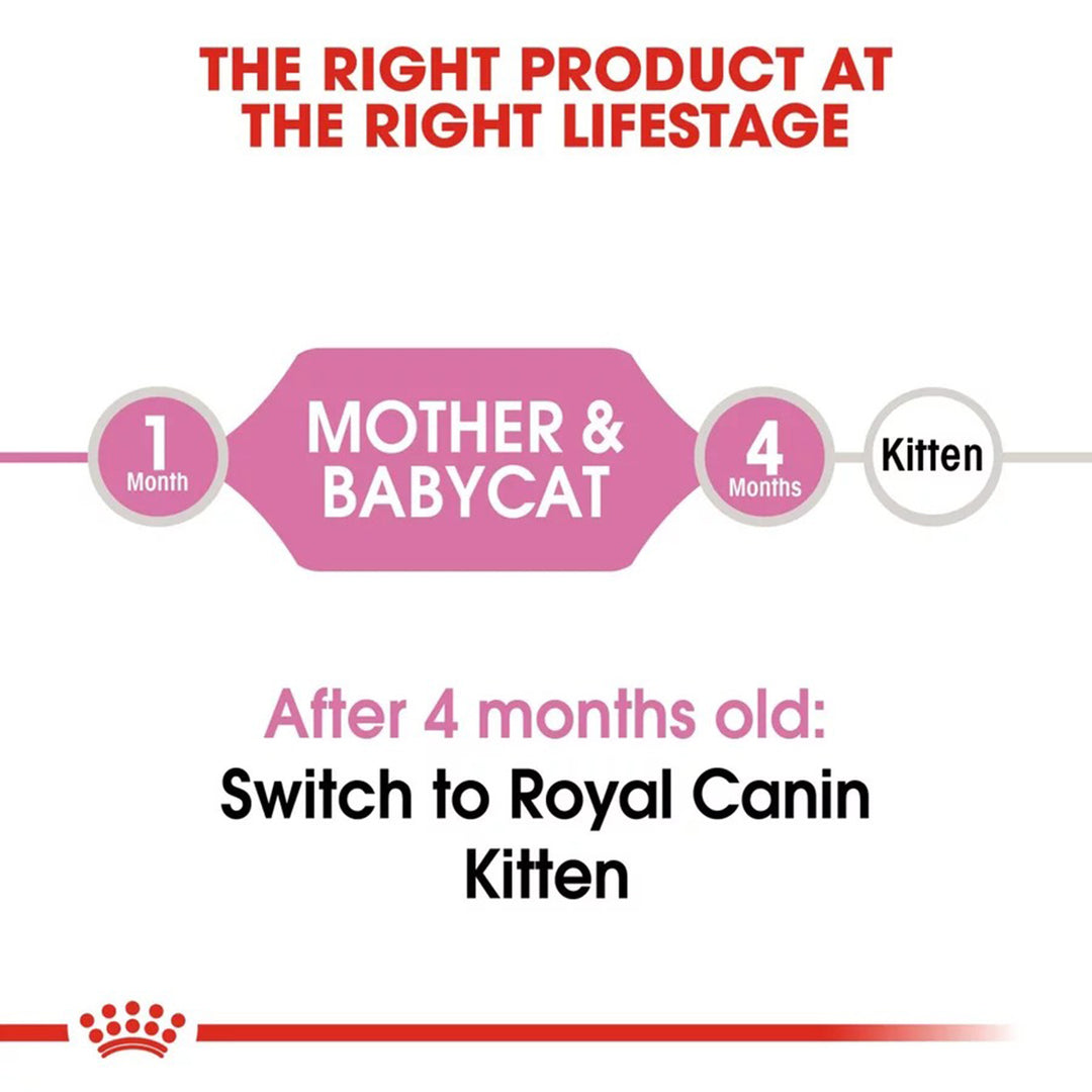 Royal Canin Mother & Babycat Dry Cat Food - All Breed