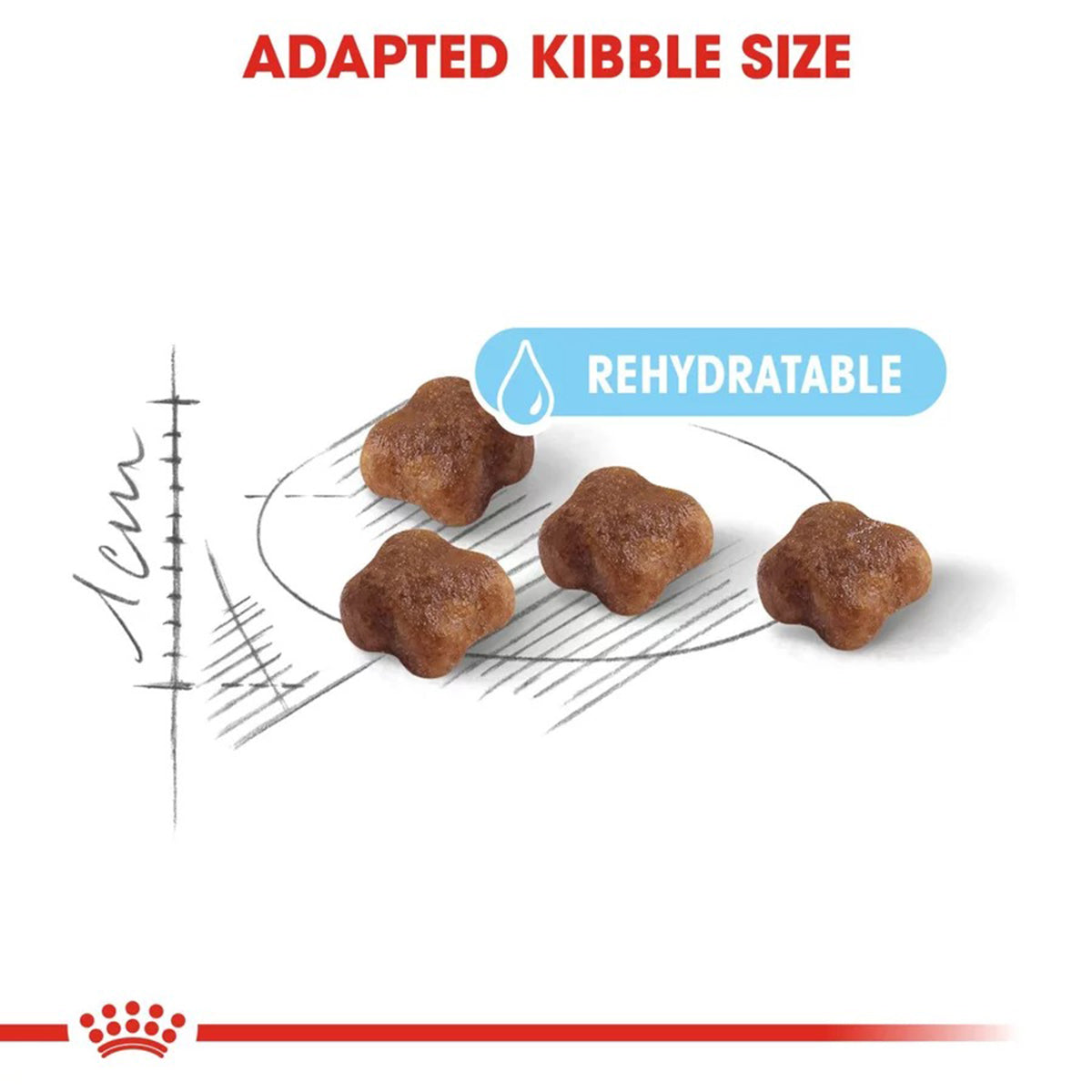 Royal Canin Mother & Babycat Dry Cat Food - All Breed