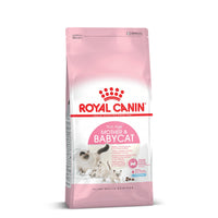 Royal Canin Mother & Babycat Dry Cat Food - All Breed