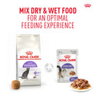 Royal Canin Sterilised 37 Adult Dry Cat Food - All Breed