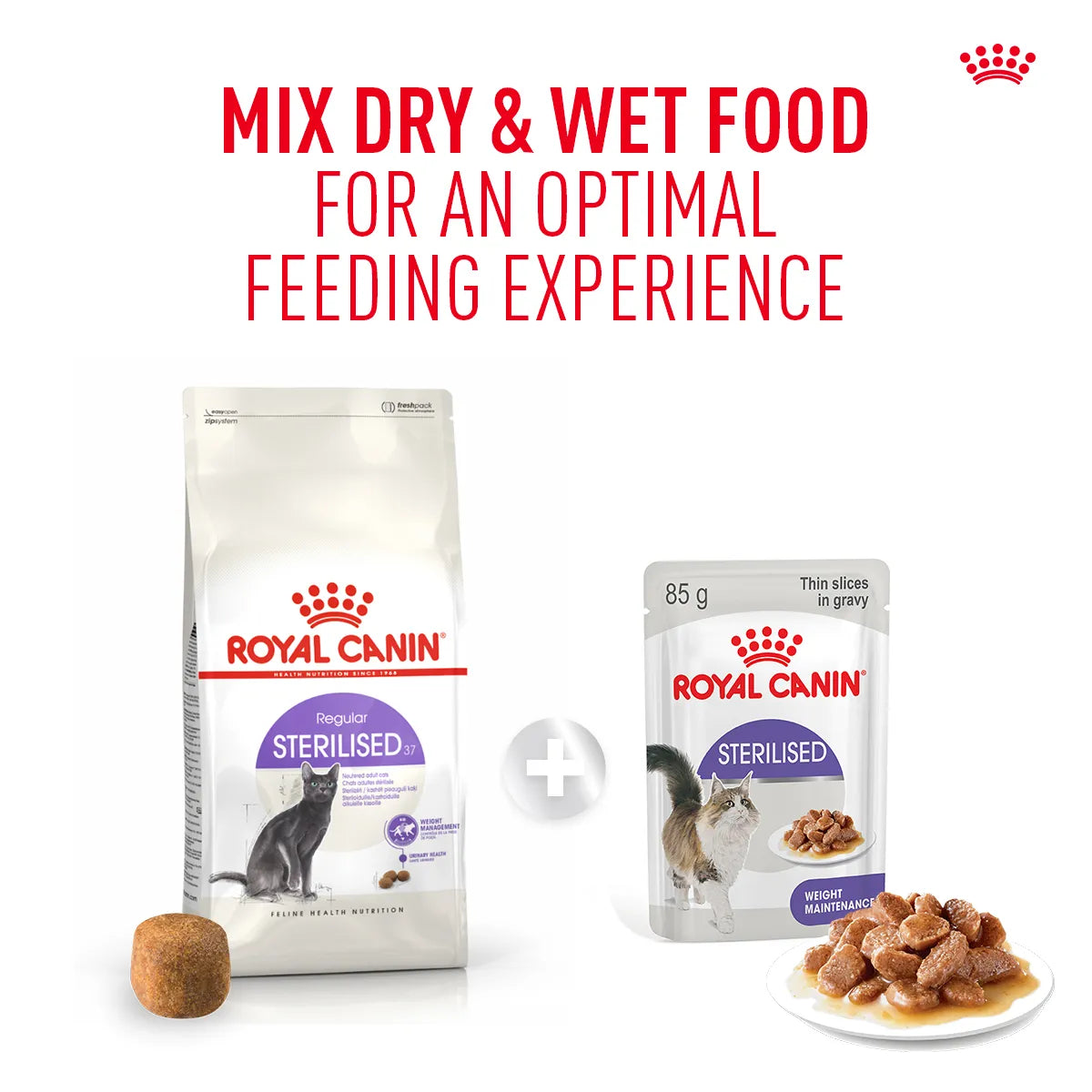 Royal Canin Sterilised 37 Adult Dry Cat Food - All Breed