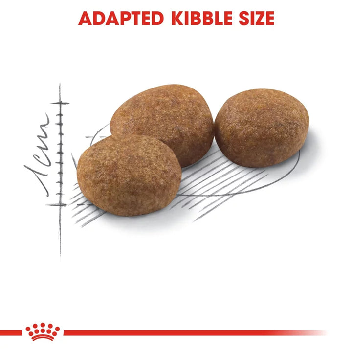 Royal Canin Sterilised 37 Adult Dry Cat Food - All Breed