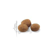 Royal Canin Sterilised 7+ Years Mature Dry Cat Food - All Breed - 1.5kg