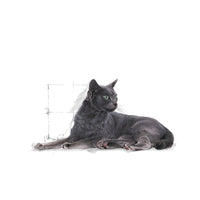 Royal Canin Sterilised 7+ Years Mature Dry Cat Food - All Breed - 1.5kg