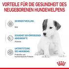 Royal Canin Baby Dog (1st Age) Milk For Weaning Puppies - Zigly
