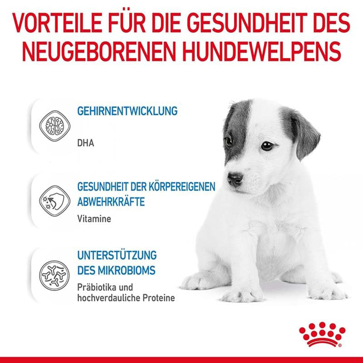 Royal Canin Baby Dog (1st Age) Milk For Weaning Puppies