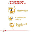 Royal Canin Beagle Adult dog food benefits: ideal weight, intake control, and joint support zigly