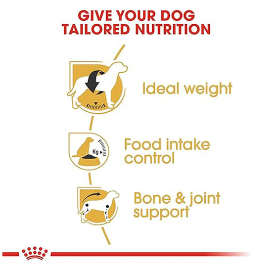 Royal Canin Beagle Adult dog food benefits: ideal weight, intake control, and joint support zigly