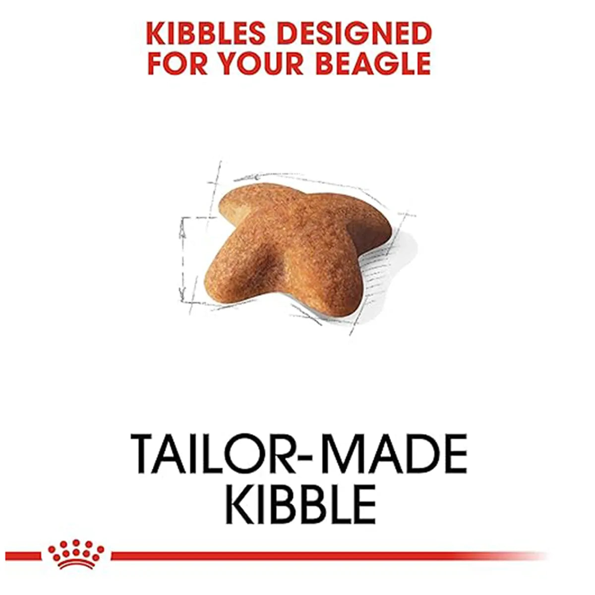 Royal Canin tailor-made kibble for adult Beagles available at zigly