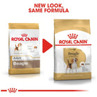 Royal Canin Beagle Adult dry dog food packaging update comparison available at zigly