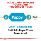 Royal Canin Boxer Puppy to Adult food transition guide on Zigly