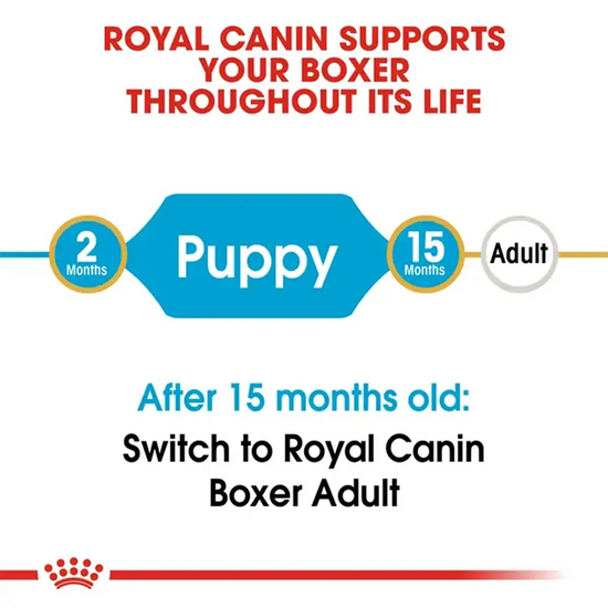 Royal Canin Boxer Puppy to Adult food transition guide on Zigly