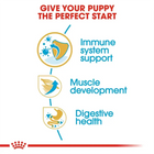 Royal Canin Boxer Puppy food benefits for immune support, muscle development and digestive health zigly