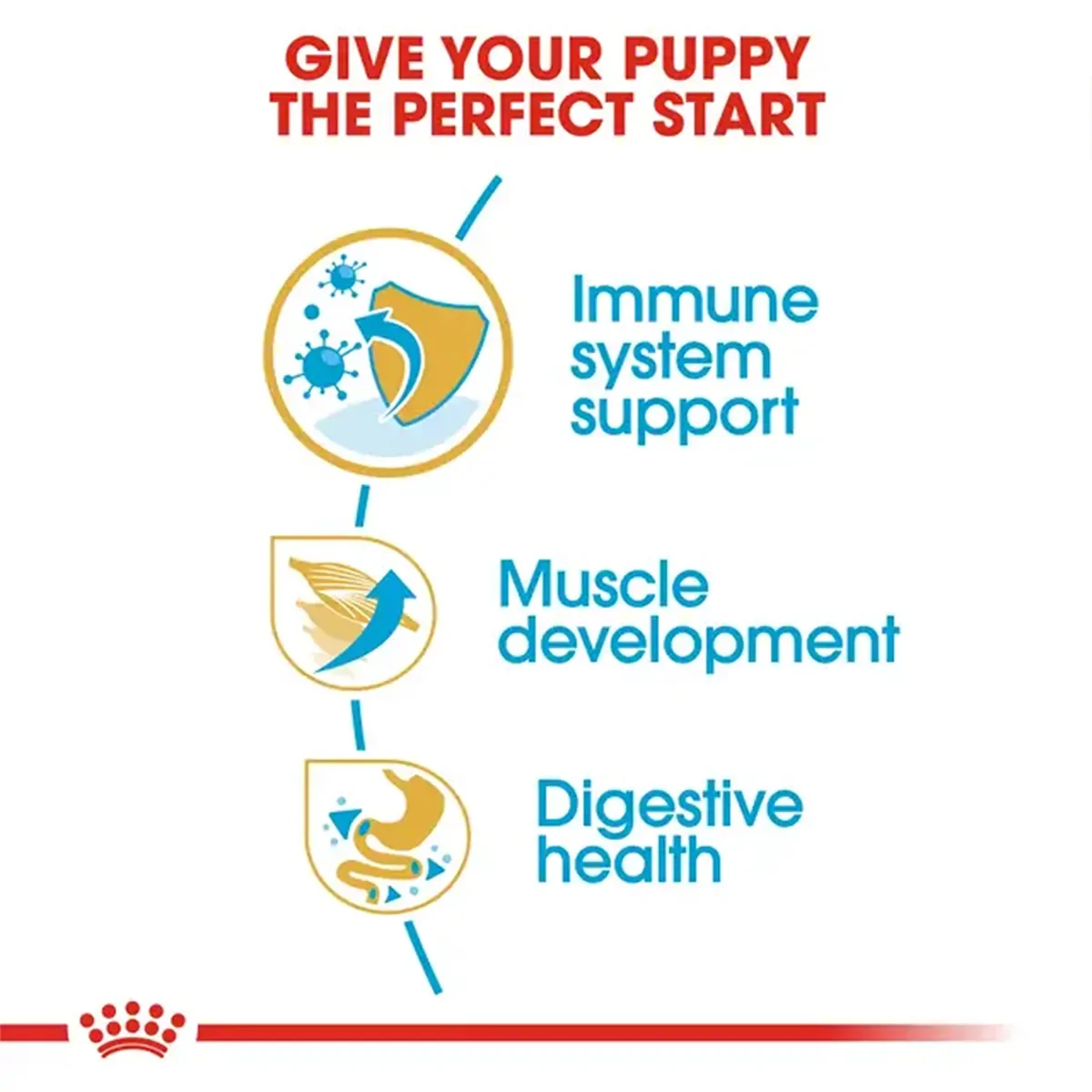 Royal Canin Boxer Puppy food benefits for immune support, muscle development and digestive health zigly