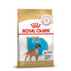 Royal Canin Boxer Puppy dry dog food packaging available at zigly