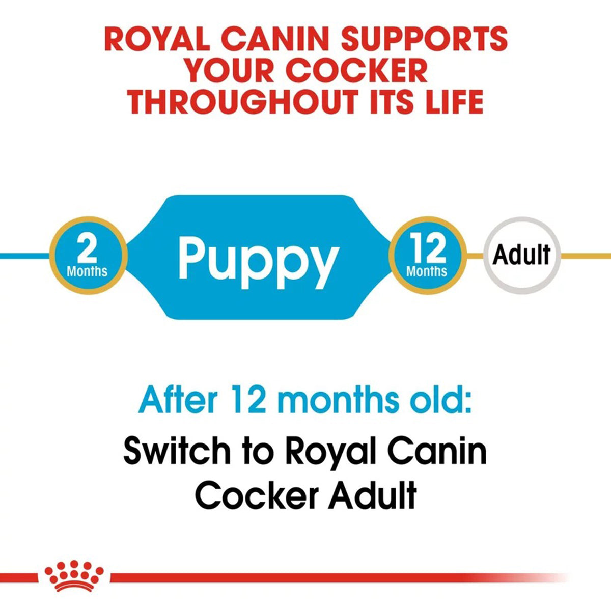 Royal Canin Cocker Puppy Dry Dog Food - 3kg