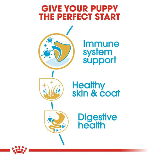 Royal Canin puppy food benefits: immune system support, skin & coat, and digestive health at Zigly