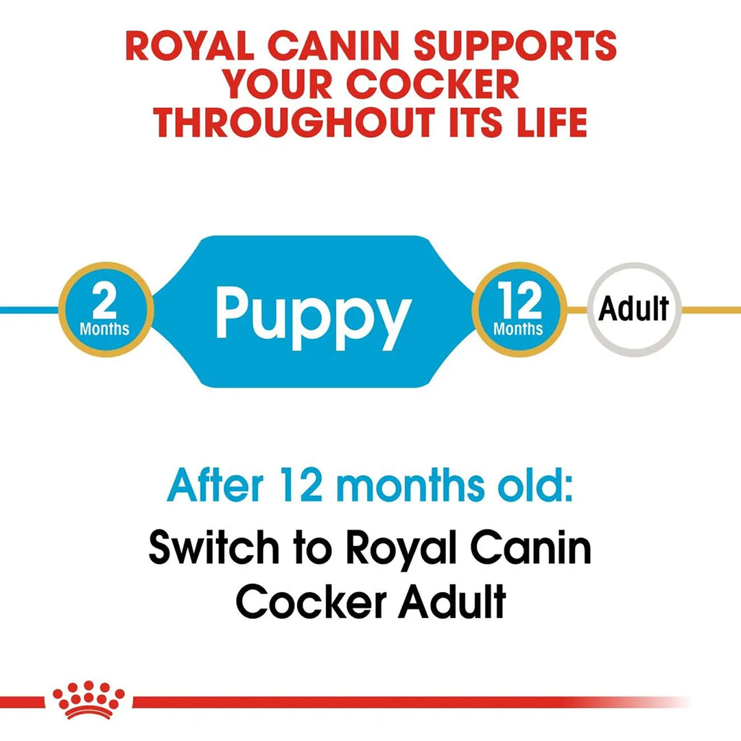 Royal Canin Cocker Puppy feeding guide timeline from 2 to 12 months available on zigly