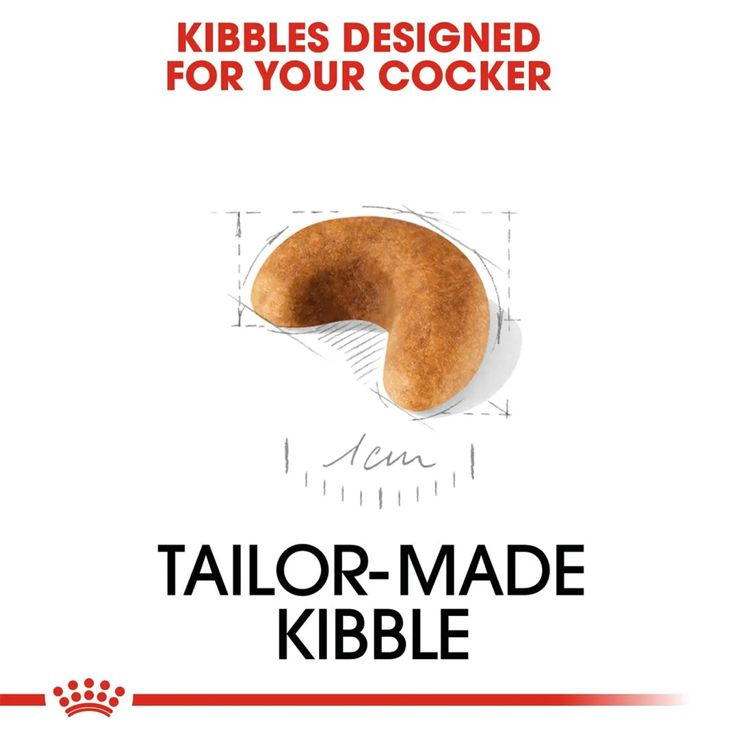 Tailor-made Royal Canin kibble designed for Cocker Spaniels available at zigly