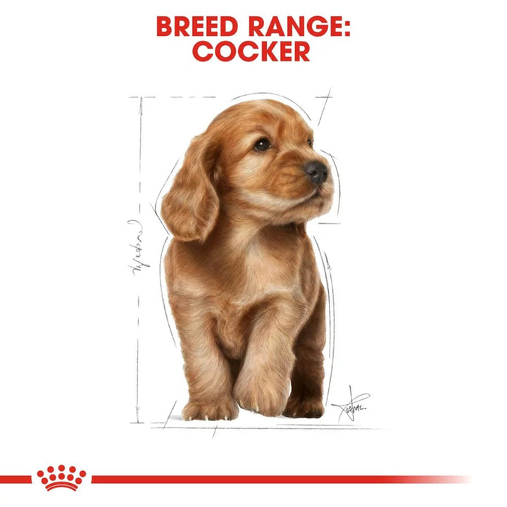 Royal Canin Cocker Puppy Dry Dog Food - 3kg