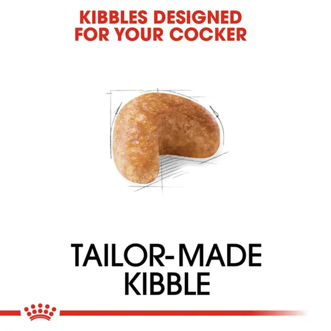 Royal Canin tailor-made kibble for Cocker Spaniels available at zigly