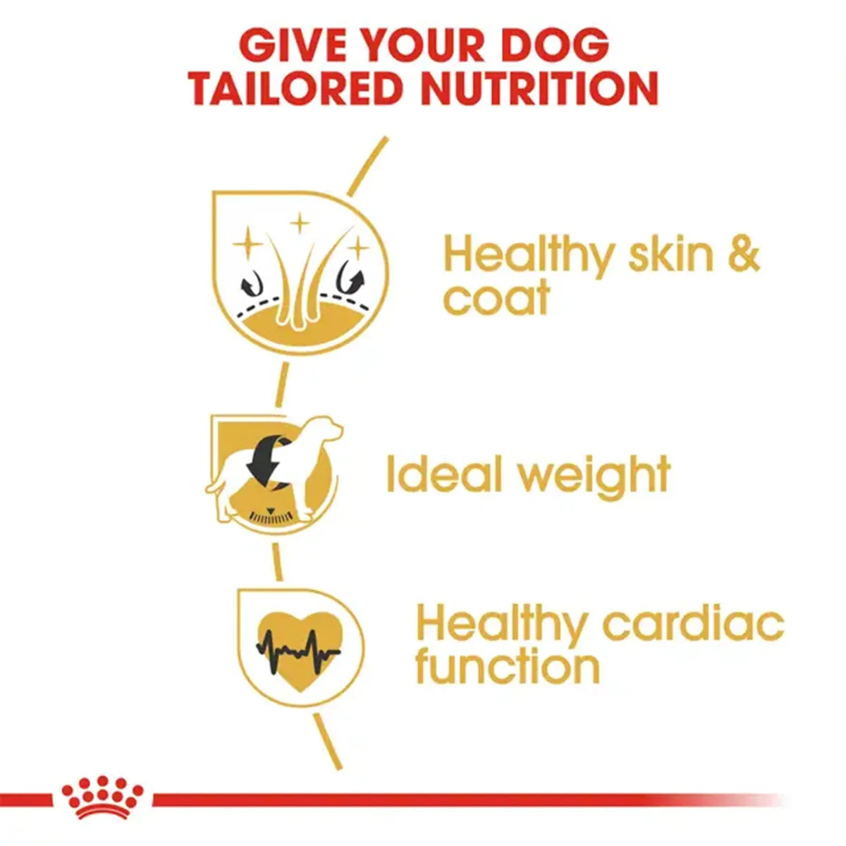 Royal Canin Cocker Adult dog food benefits for skin, weight, and heart health from zigly