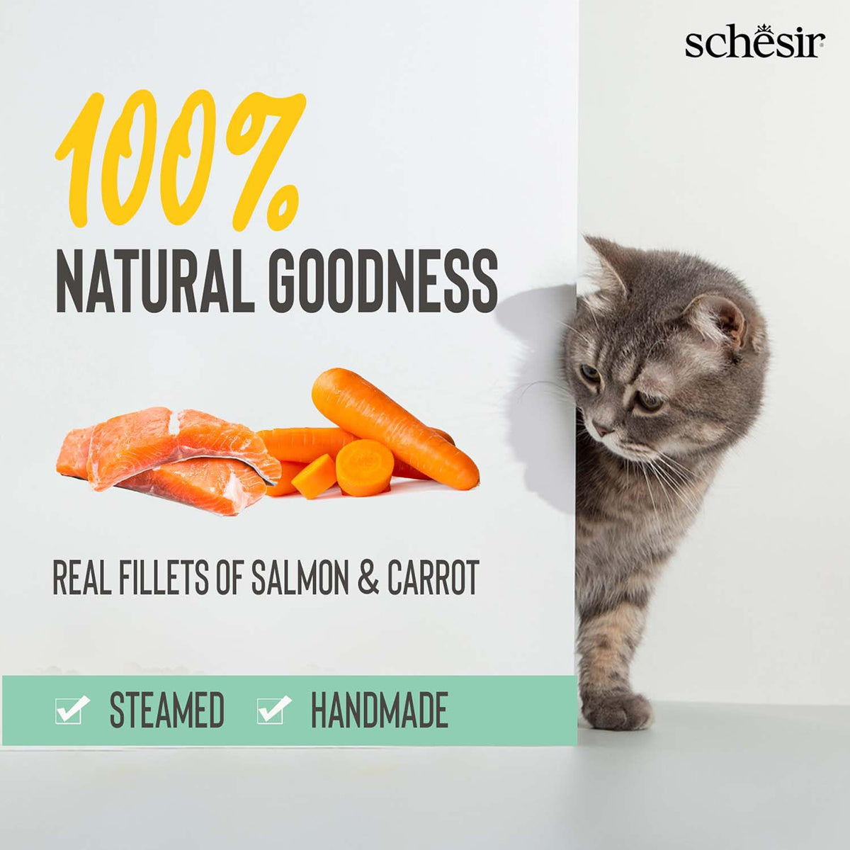 Schesir Pink Salmon & Carrot Soup Pouch Wet Cat Food - All Breed Adult - 85g