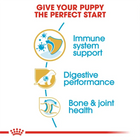 Royal Canin puppy food benefits for immune system, digestive performance, and bone health at Zigly