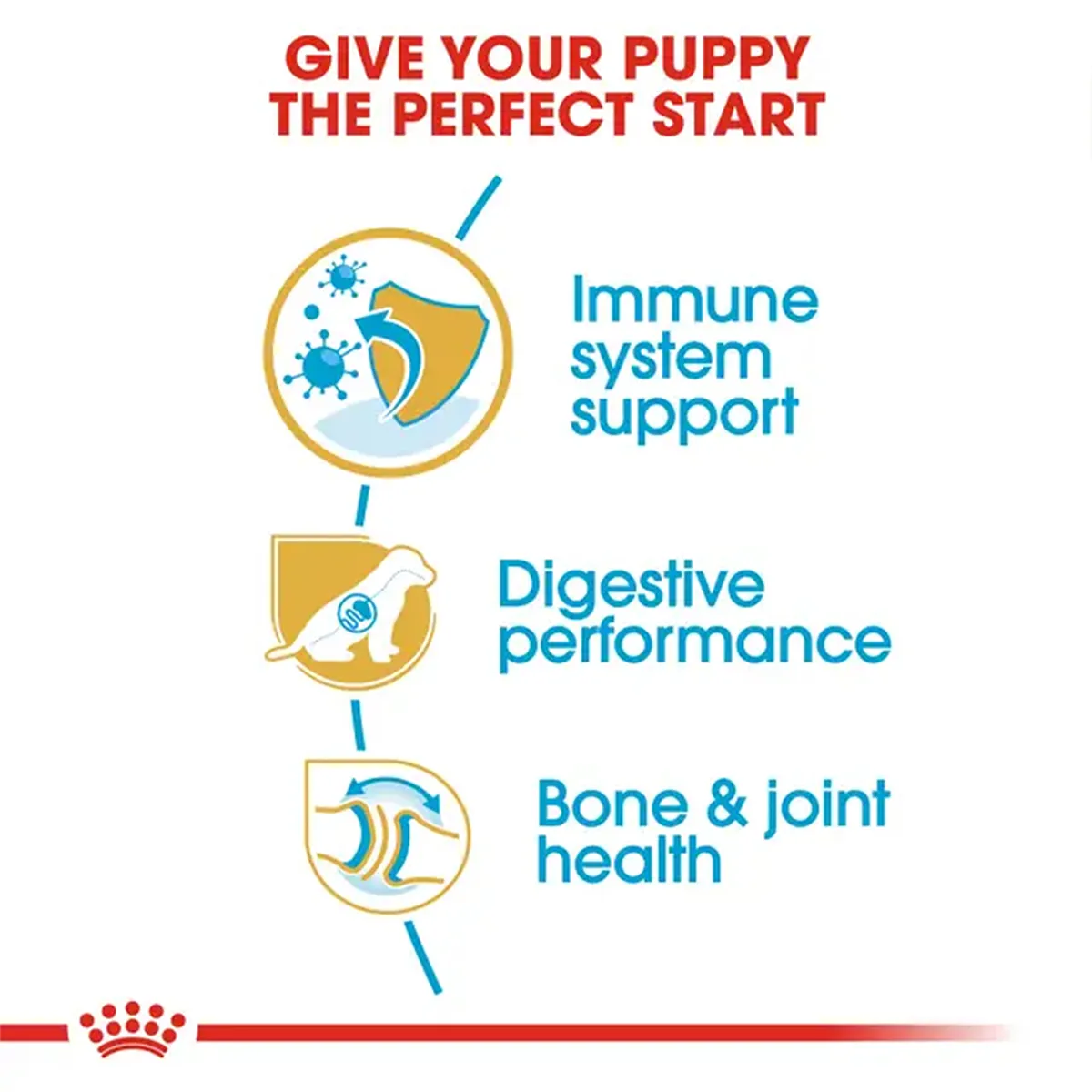 Royal Canin puppy food benefits for immune system, digestive performance, and bone health at Zigly