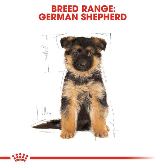 royal-canin-german-shepherd-puppy-dry-dog-food