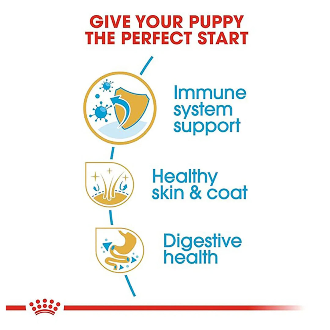 Royal Canin puppy food benefits for immune system, skin, coat and digestive health at zigly