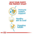 Royal Canin puppy food benefits for immune system, skin, coat and digestive health at zigly