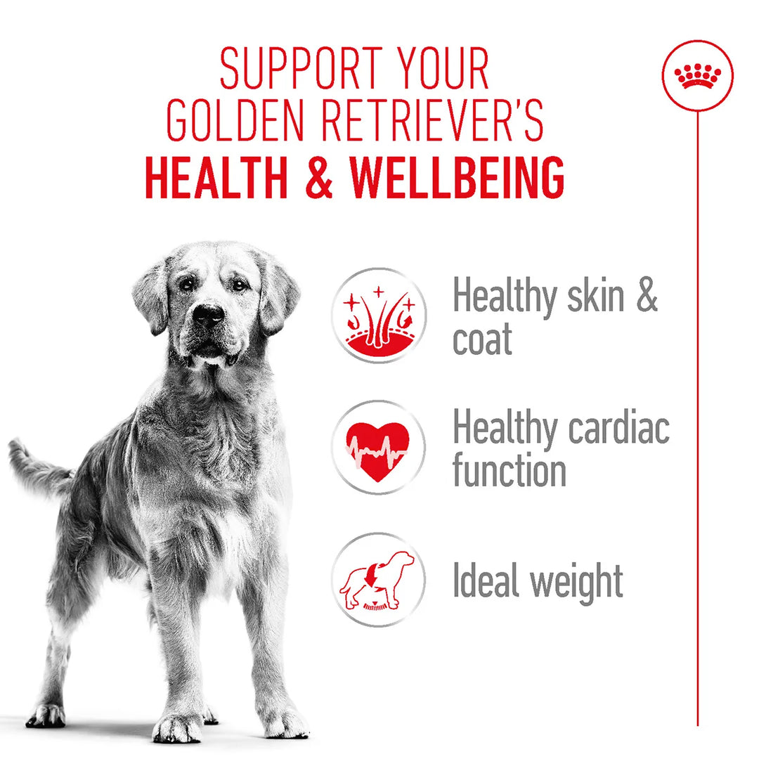 Royal Canin Golden Retriever dog food benefits for skin, heart, and weight from zigly