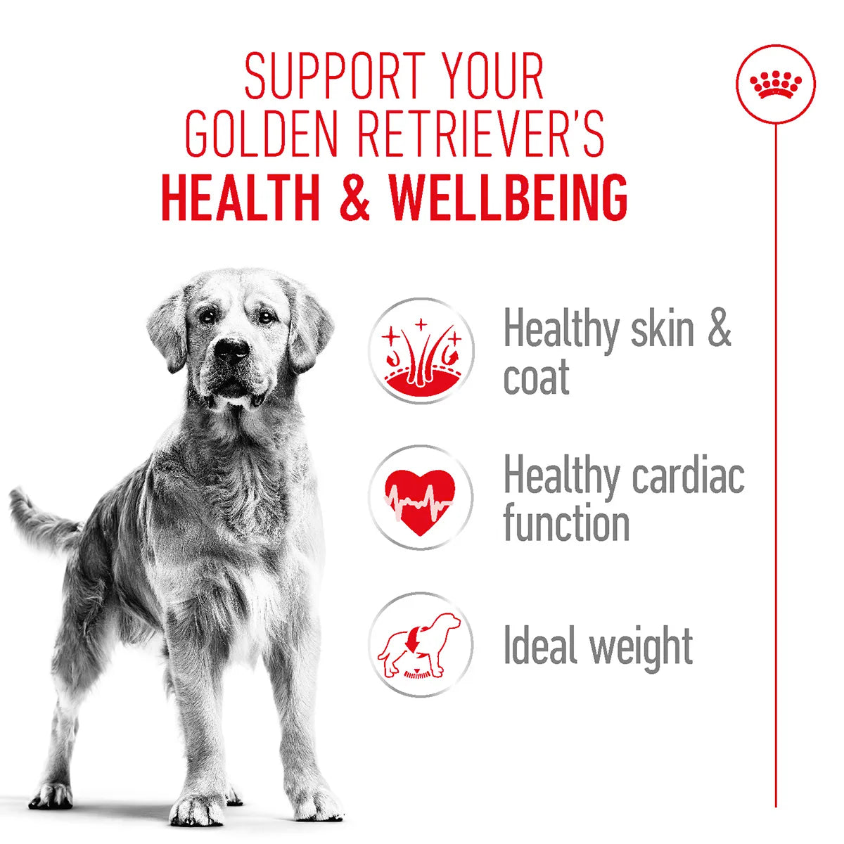Royal Canin Golden Retriever dog food benefits for skin, heart, and weight from zigly