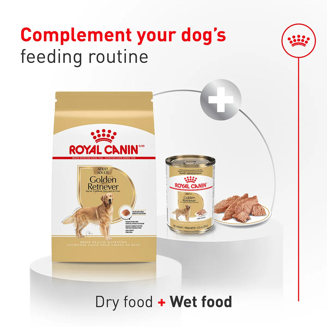 Royal Canin Golden Retriever Adult dry and wet dog food combination available at zigly