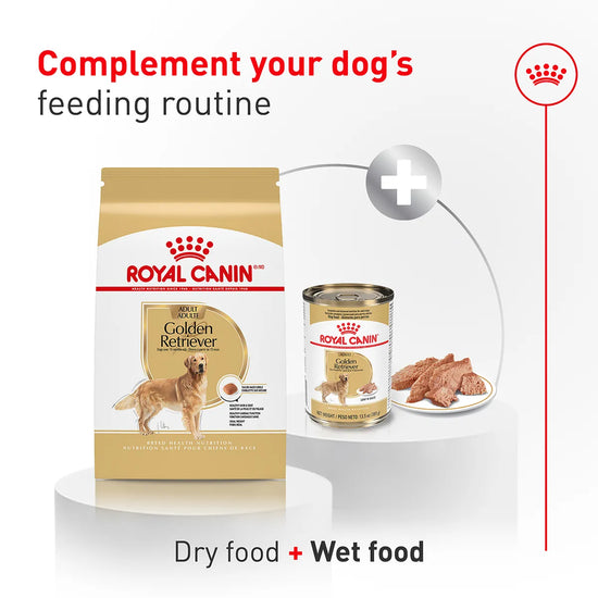 Royal Canin Golden Retriever Adult dry and wet dog food combination available at zigly