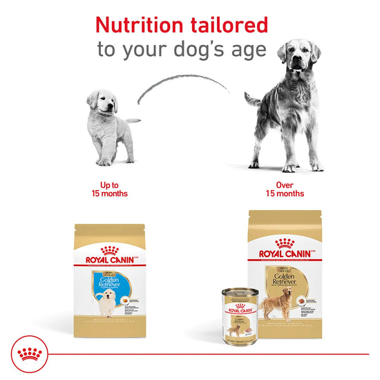 Royal Canin Golden Retriever puppy and adult dog food options available at Zigly