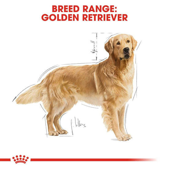 royal-canin-golden-retriever-adult-dry-dog-food
