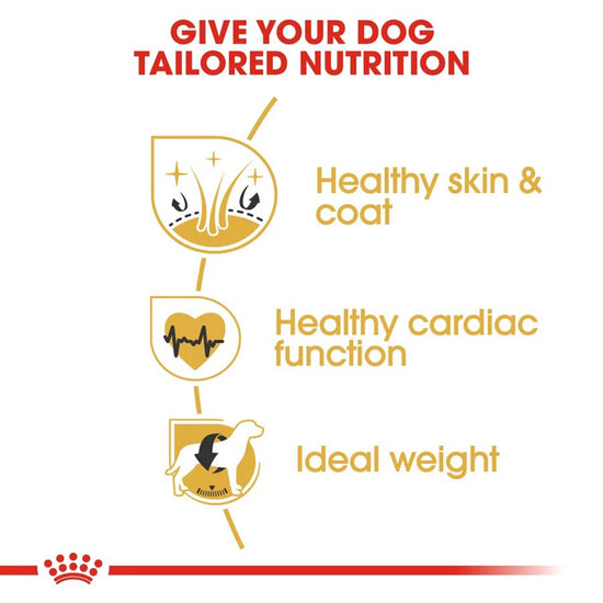 royal-canin-golden-retriever-adult-dry-dog-food