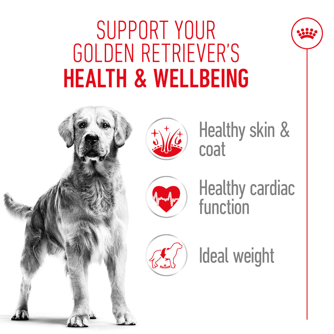 Royal Canin dog food benefits for Golden Retrievers available at zigly