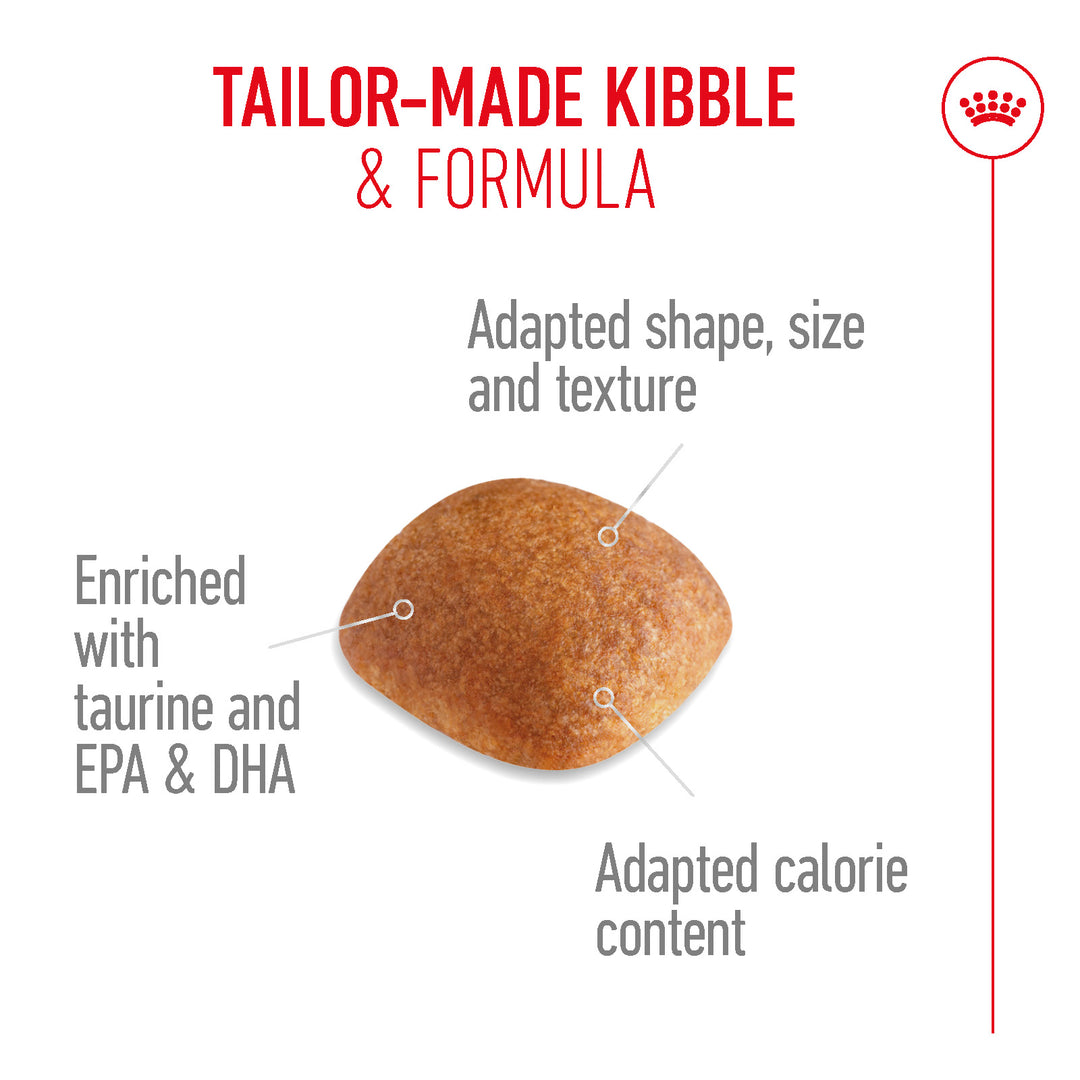 Royal Canin Labrador Retriever Adult dry dog food kibble features available at zigly