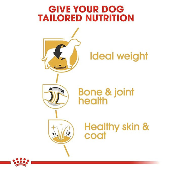 Royal Canin Labrador Retriever food benefits for weight, joints, and skin from zigly