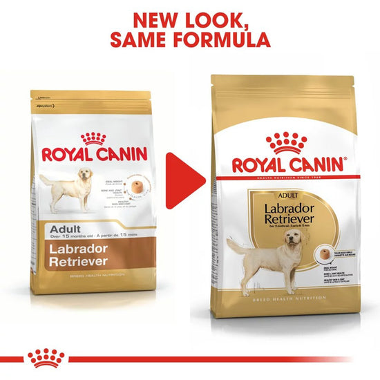 royal-canin-labrador-retriever-adult-dry-dog-food