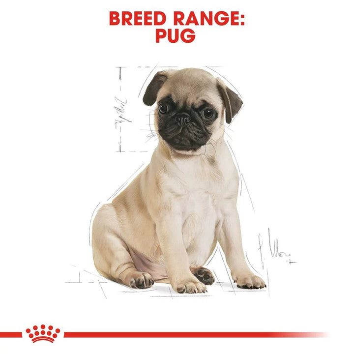 Royal Canin Pug Puppy Dry Dog Food - 500g