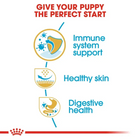 Royal Canin Pug Puppy Dry Dog Food