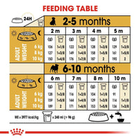 Royal Canin Pug Puppy Dry Dog Food - 500g