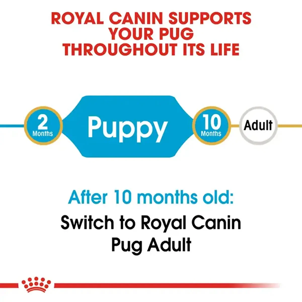 Royal Canin Pug Puppy Dry Dog Food